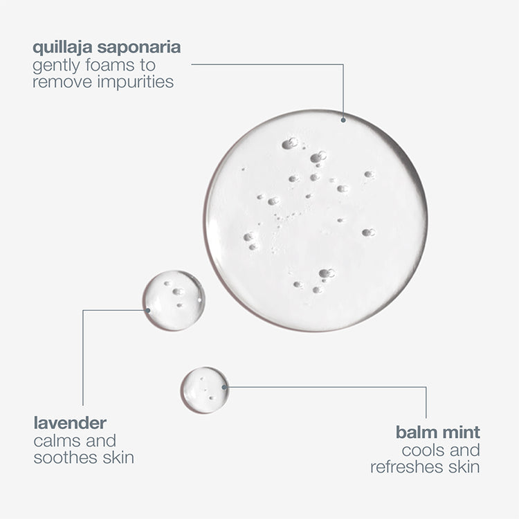 Dermalogica Special Cleansing Gel 500ml