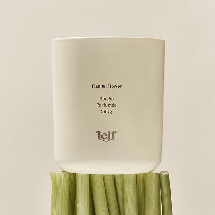 Leif Flannel Flower Candle 280g