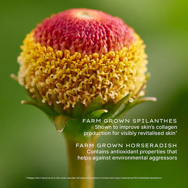 Jurlique Nutri-Define Supreme Eye Contour Balm 15ml