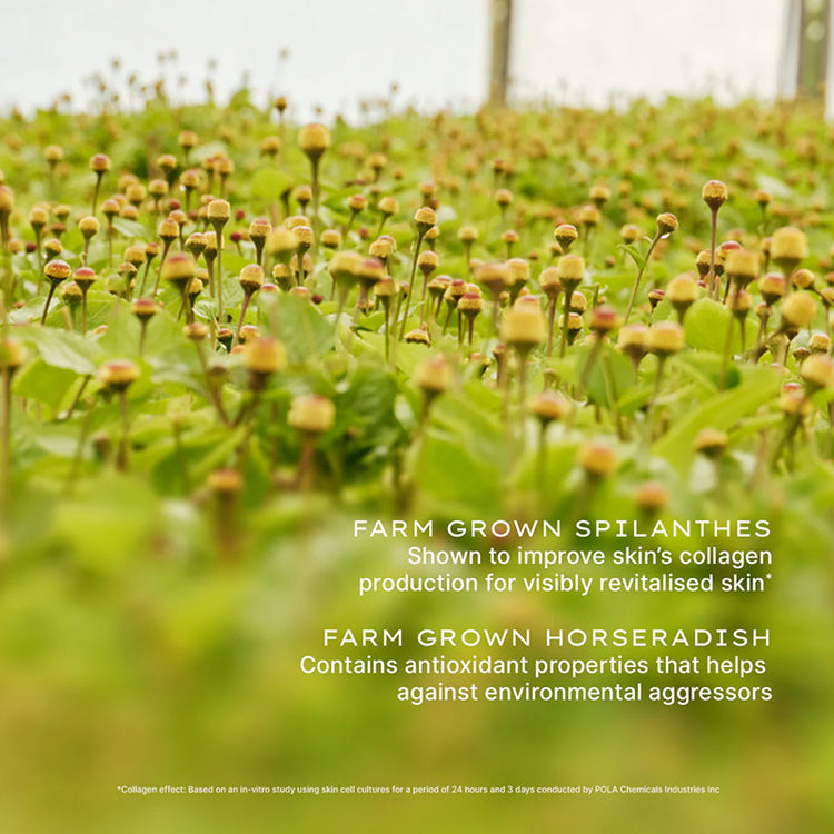 Jurlique Nutri-Define Supreme Rejuvenating Serum 30ml