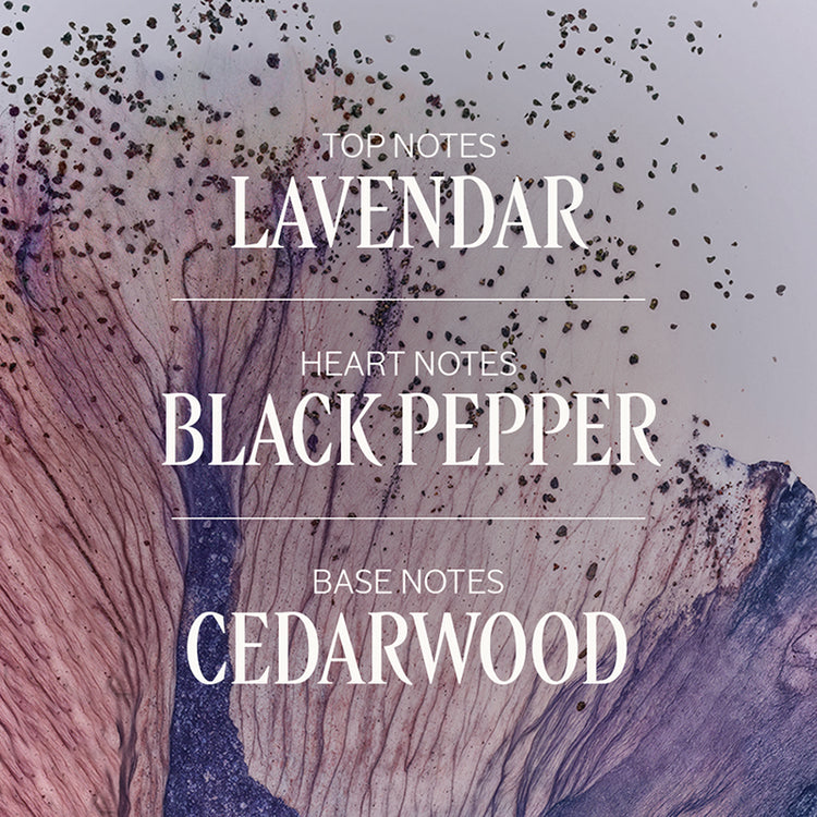 L'Occitane Lavender Black Pepper Eau De Toilette 50ml