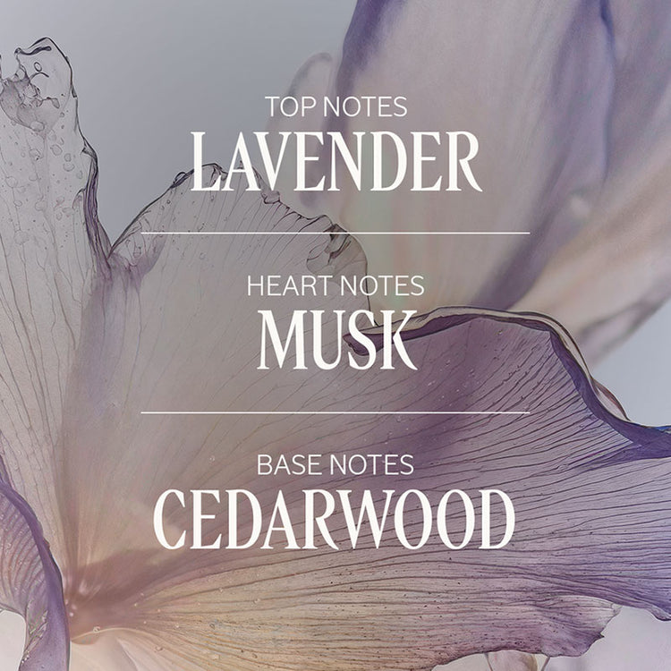 L'Occitane White Lavender Shower Gel 250ml