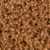 swatch_05 Beige Ambre
