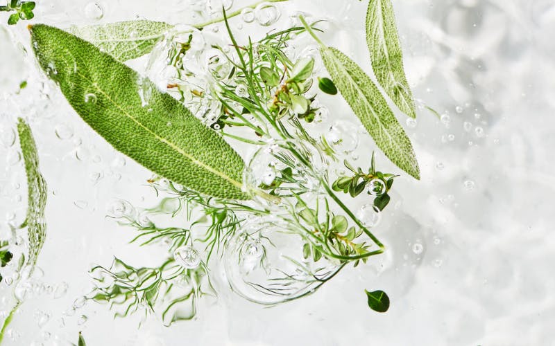 Clean Beauty Picks