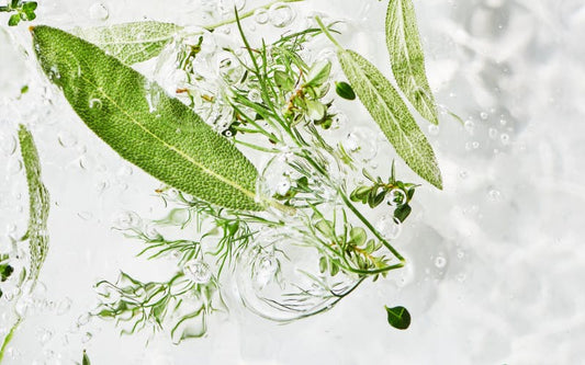 Clean Beauty Picks