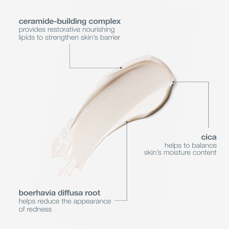 Dermalogica Stabilizing Repair Cream 50ml