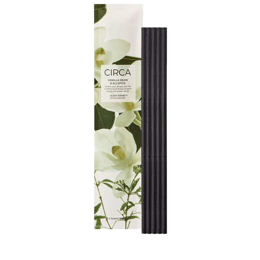 CIRCA Vanilla Bean & Allspice 5 Replacement Scent Stems