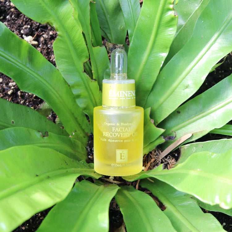 Eminence Facial Recovery Oil 15ml
