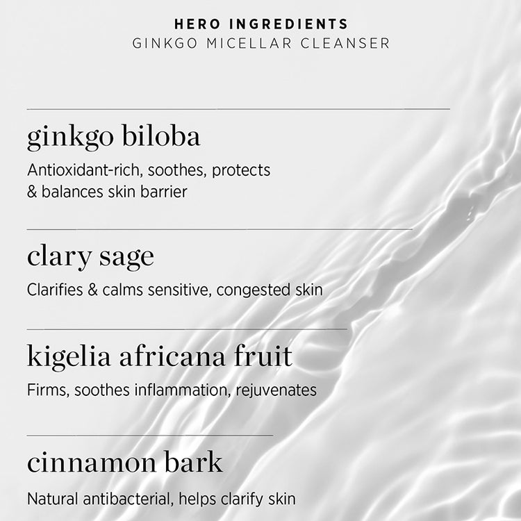 Ere Perez Ginkgo Micellar Cleanser 300ml