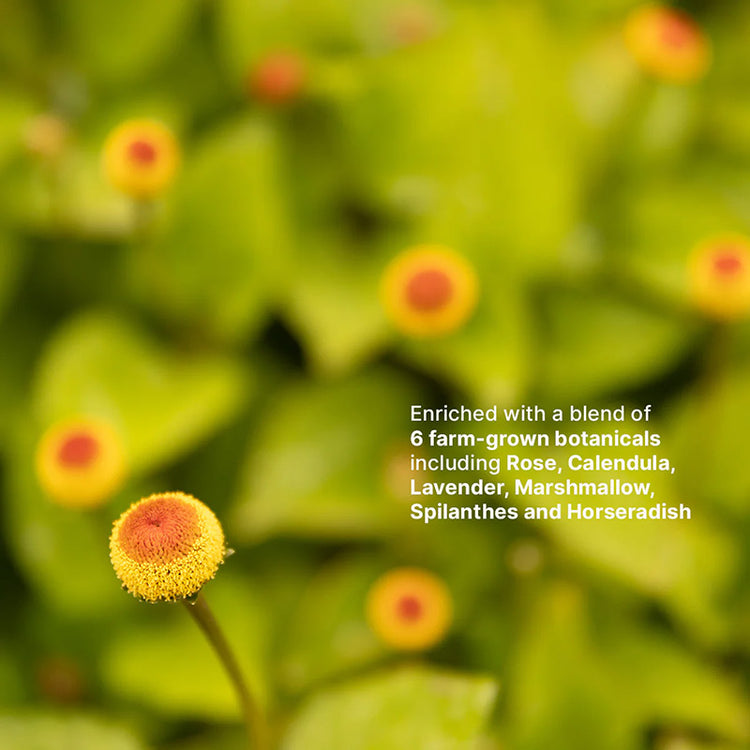 Jurlique Nutri-Define Supreme Cleansing Foam 100ml