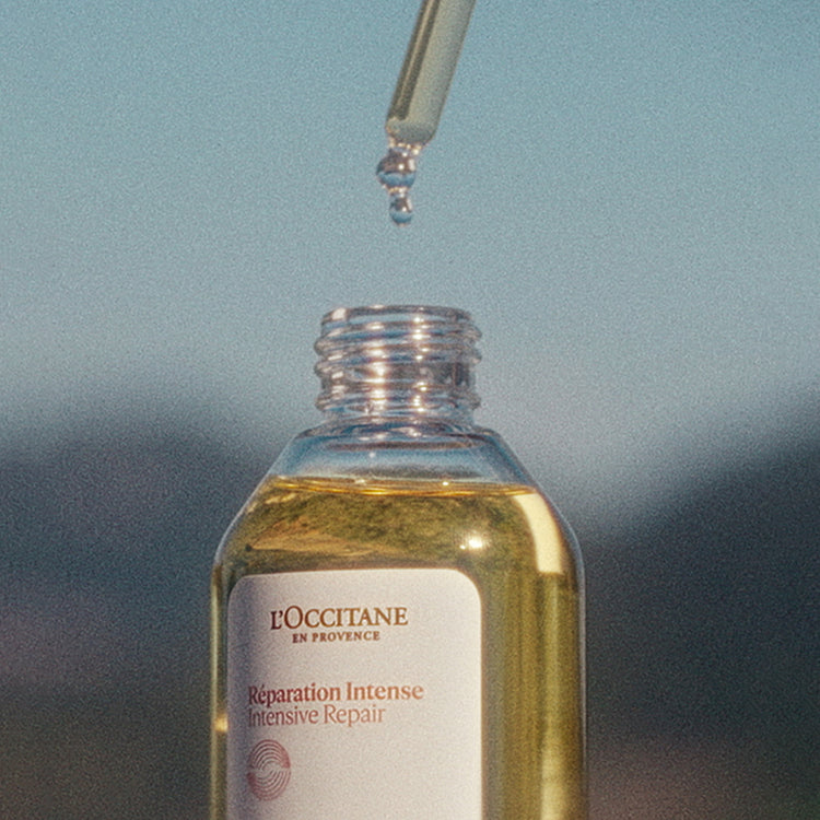 L'Occitane Repair & Renew Hair Ritual