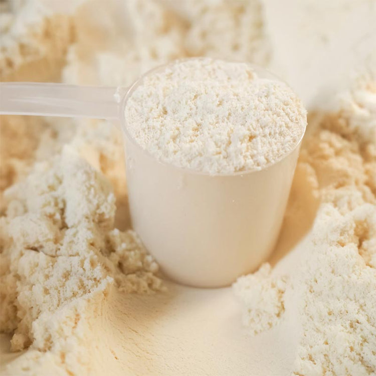 Vita Sol Organic Plant Protein Vanilla Powder 465g