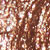 swatch_Dawn