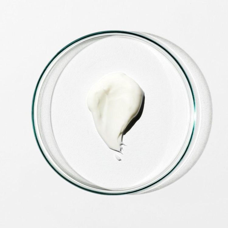 Grown Alchemist Skin Renewal Night Cream: Echinacea, Reishi Mushroom, Polypeptide 40ml